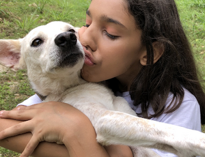Esquecidos pelo Estado, lembrados por ativistas: nova força-tarefa quer garantir dignidade real aos animais no RJ