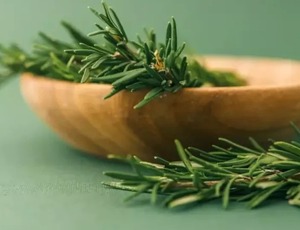 Conheça a planta que ajuda a regenerar as células pancreáticas e melhora o sistema digestivo