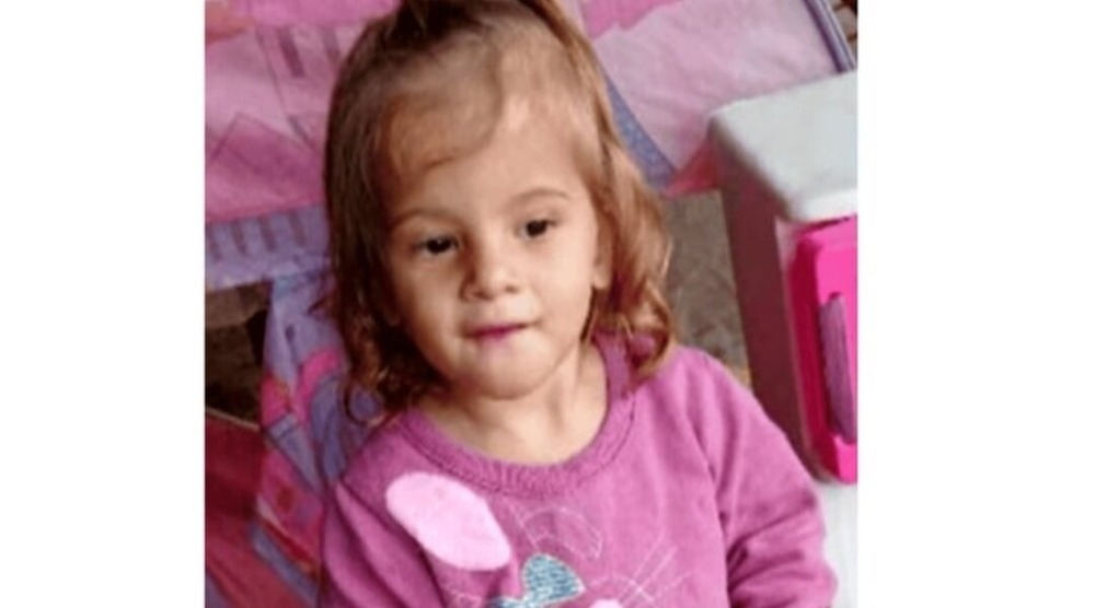 Pitbull da família mata Valentina, de 2 anos em São Paulo