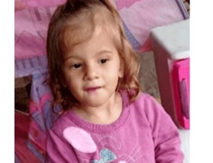 Pitbull da família mata Valentina, de 2 anos em São Paulo