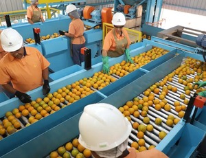 Confira a lista de quase 700 produtos que não serão taxados pelos EUA