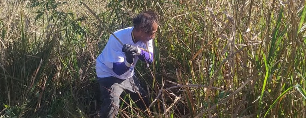 Agrofloresta e valorização na Tekoa Sapukai de Angra dos Reis