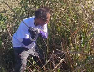 Agrofloresta e valorização na Tekoa Sapukai de Angra dos Reis