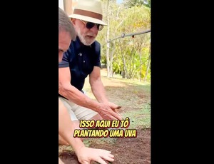 Em vídeo a Trump, Lula planta uva e diz semear comida e não ódio