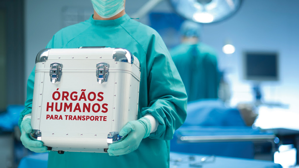 Setembro Verde: Transplantes de órgãos batem recorde no Brasil com mais de 30 mil procedimentos realizados 