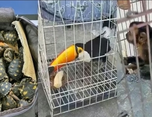 Operação São Francisco: Delegado André Prates faz maior operação contra tráfico de animais do país