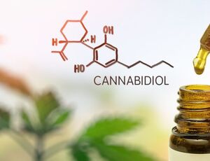 Cannabis: De fármaco à droga; de droga à medicamento - Parte 01