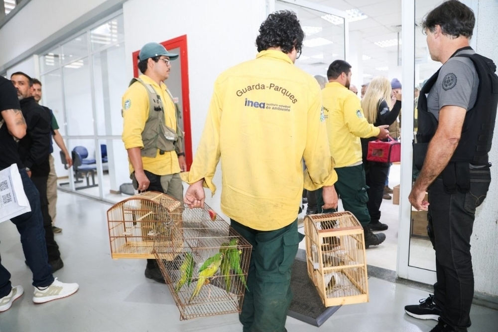 Mais de 800 animais silvestres são salvos em megaoperação que expõe 