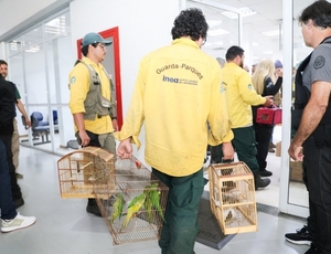 Mais de 800 animais silvestres são salvos em megaoperação que expõe 