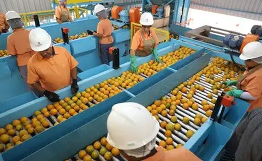 BNDES aprova R$ 1,2 bi para empresas afetadas pelo tarifaço