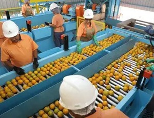 BNDES aprova R$ 1,2 bi para empresas afetadas pelo tarifaço
