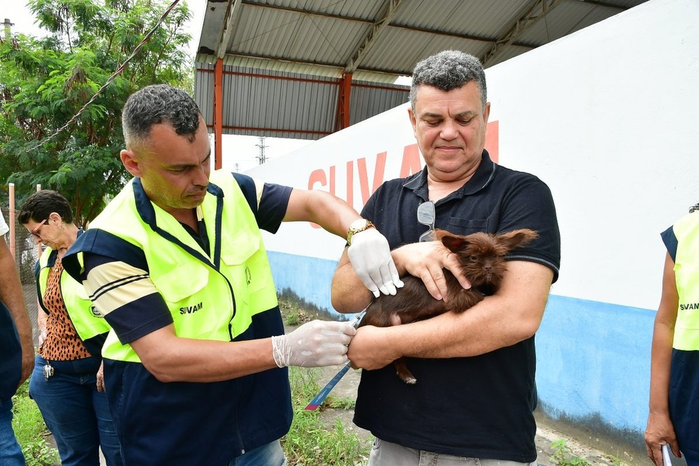 Nova Iguaçu vacina mais de 19 mil cães e gatos contra a raiva neste sábado