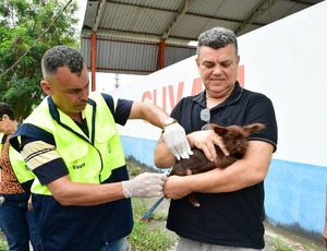 Nova Iguaçu vacina mais de 19 mil cães e gatos contra a raiva neste sábado