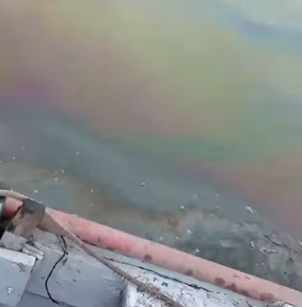 Pescadores registram crime ambiental em São Gonçalo; órgãos ambientais são acionados para investigação