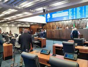 Alerj aprova novo Código Estadual de Direito dos Animais; texto moderniza regras e amplia proteção no RJ