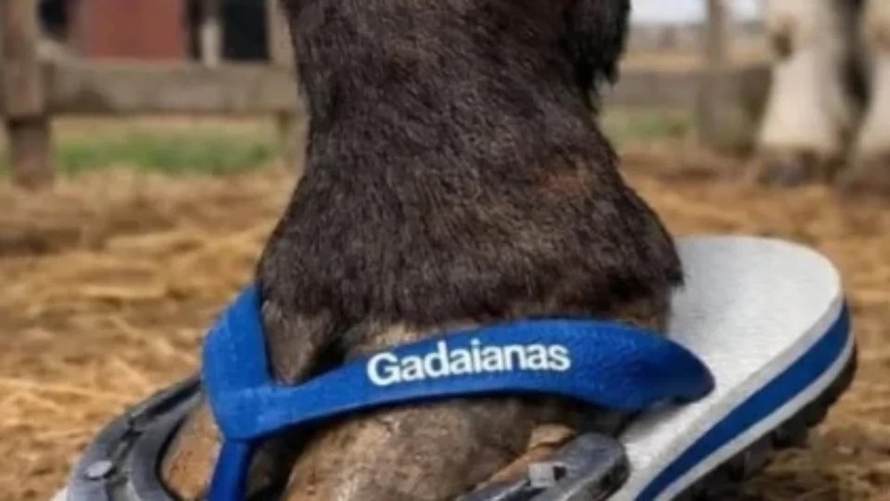 Onda de memes invade as redes após polêmica das Havaianas