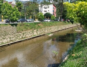 FESTA NO BONFIM VIRA CAOS: TRÂNSITO TRAVADO, DESRESPEITO AMBIENTAL E MORADORES ILHADOS EM PETRÓPOLIS