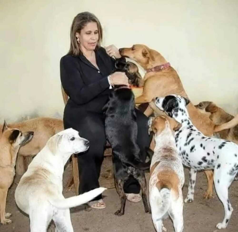 A mão única da solidariedade: Patrícia Nunes, ativista animal e de mulheres, agoniza à espera de um milagre