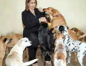A mão única da solidariedade: Patrícia Nunes, ativista animal e de mulheres, agoniza à espera de um milagre