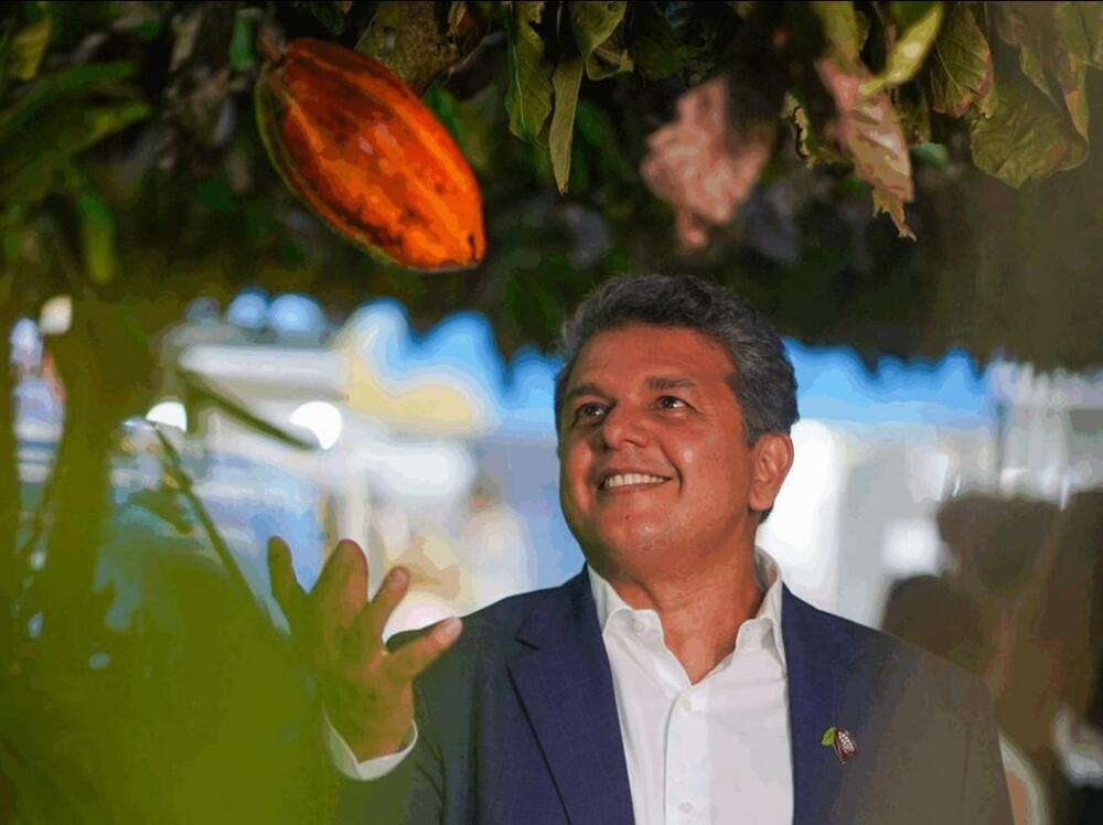 A era do Cacau: conheça a trajetória do empresário brasileiro que ajudou a tornar o fruto numa potência econômica e turística 
