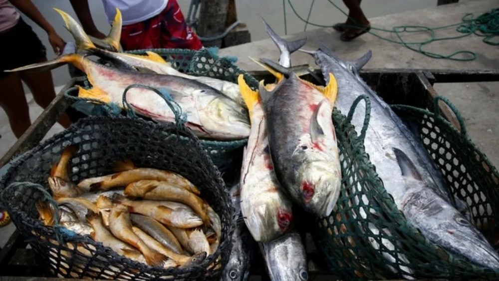 Após consumo de peixe, casos raros da doença de Haff são confirmados no AM