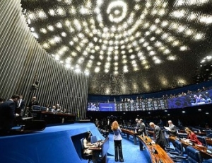 Senado aprova guarda compartilhada de animais de estimação