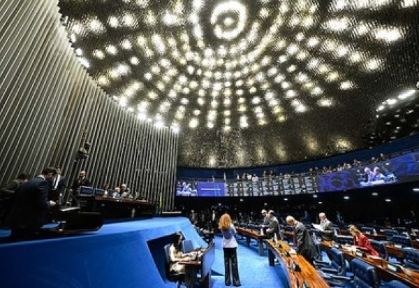 Senado aprova guarda compartilhada de animais de estimação