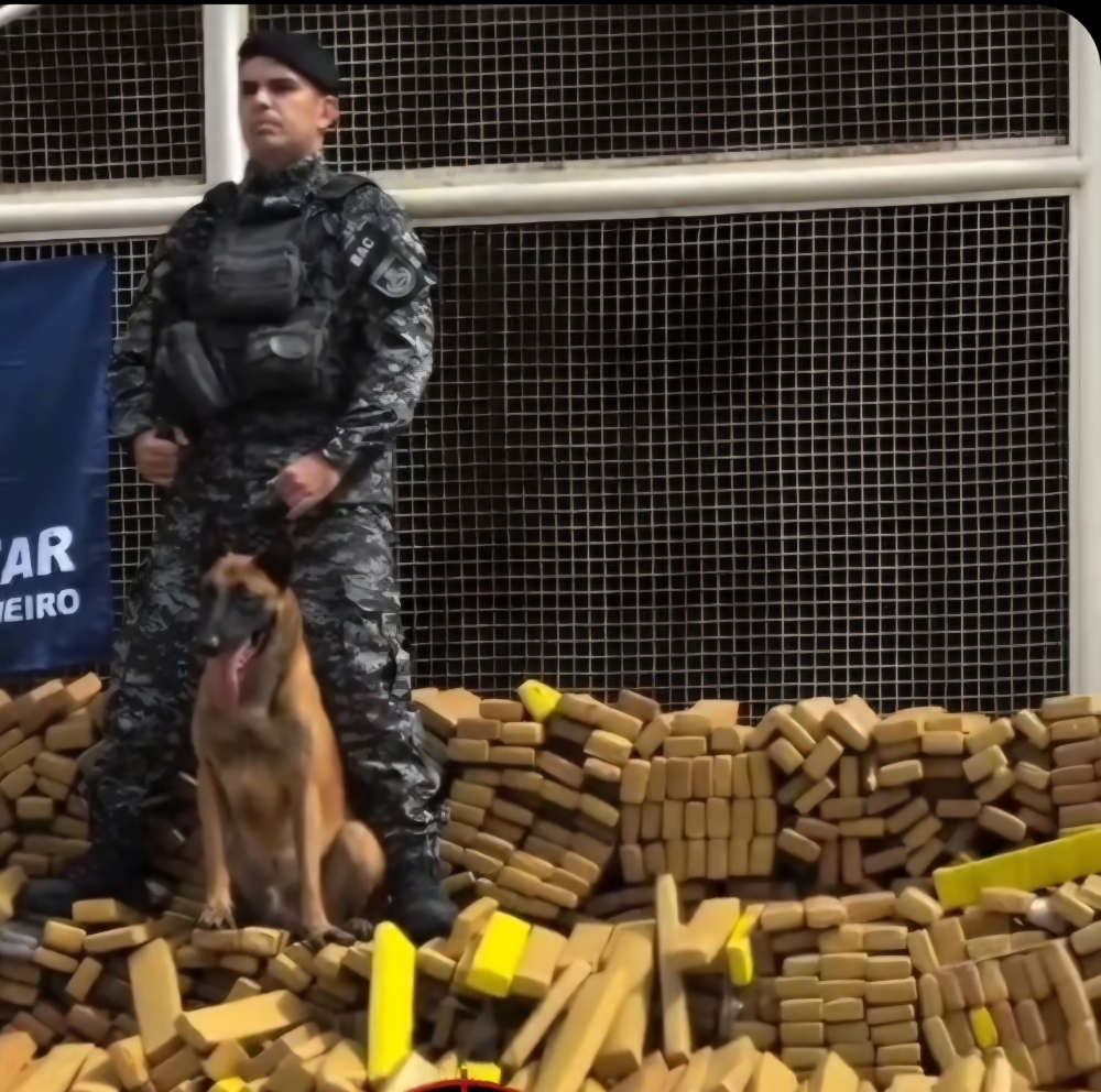 PM apreende 48 toneladas de maconha na Maré em operação histórica no Rio