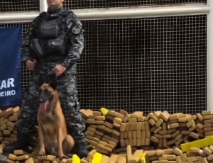 PM apreende 48 toneladas de maconha na Maré em operação histórica no Rio