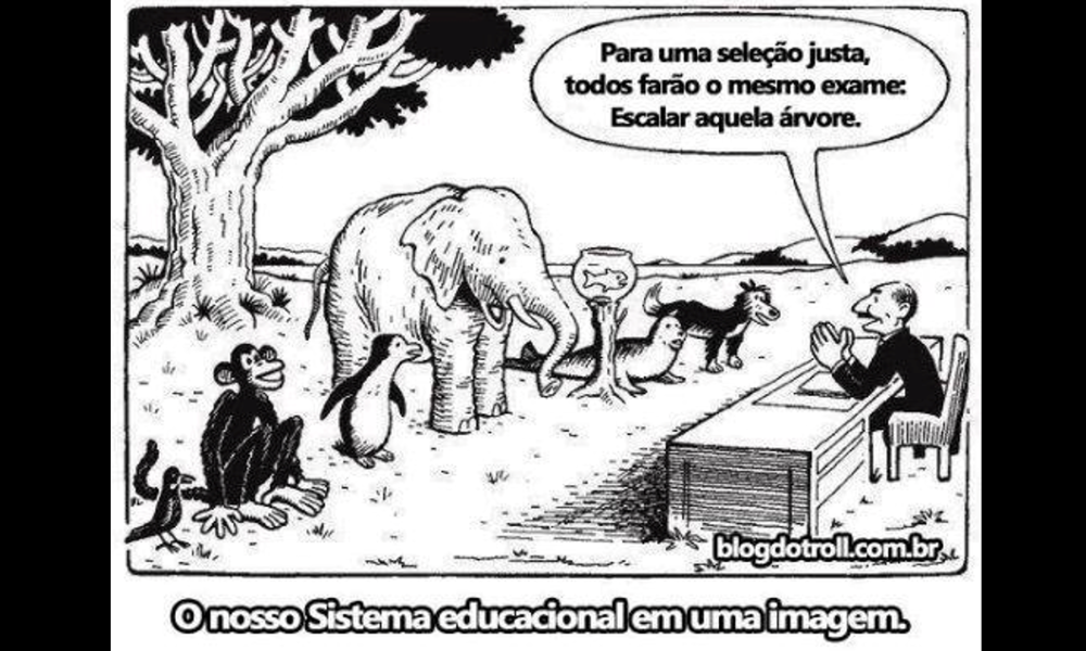 Algumas escolas aniquilam as inteligências