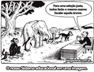 Algumas escolas aniquilam as inteligências