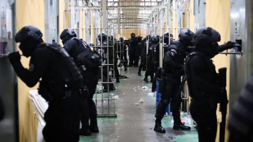 ESPECIAL XII: RDD e regime federal são privações de liberdade 'análogas à tortura' – por Daniel Mazola