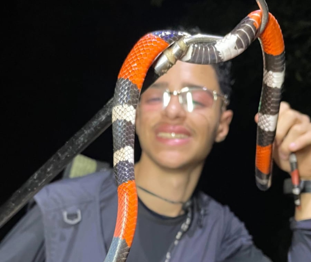 Davi da Fauna: o resgatista que transforma a preservação ambiental em missão em Pernambuco