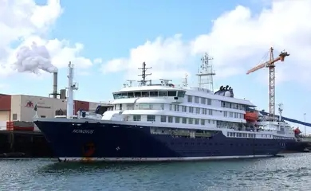 Saiba mais sobre o hantavírus, suspeito de causar surto em cruzeiro