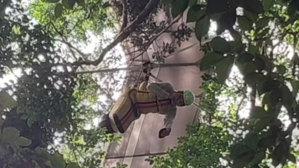 Piloto de asa-delta cai e fica preso em árvore no Jardim Botânico