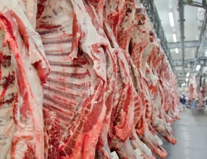Governo promete reverter veto da União Europeia a carnes e animais brasileiros
