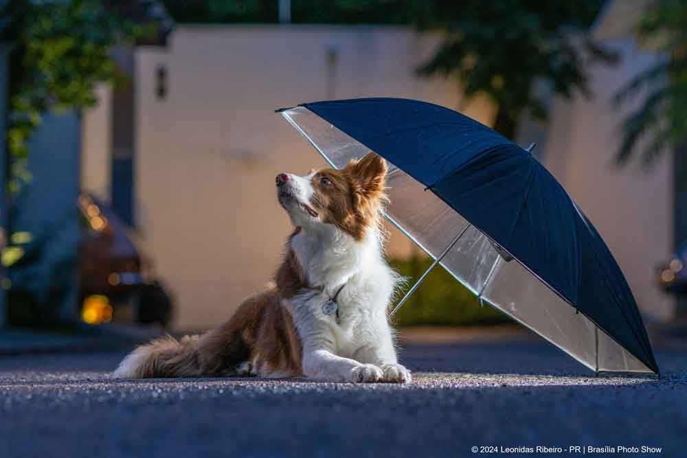 Inscrições para o Brasília Photo Show 2026 são prorrogadas até 20 de maio e festival amplia número de premiados