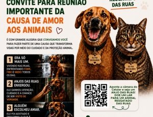 Nilópolis lança campanha permanente para resgatar e dar novos lares a animais abandonados