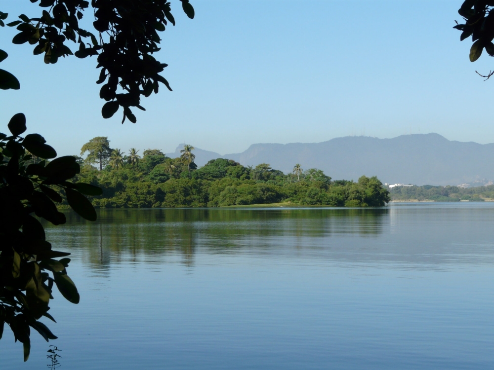 No dia 03 de Junho, comemoramos o Dia Mundial do Meio Ambiente!