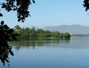 No dia 03 de Junho, comemoramos o Dia Mundial do Meio Ambiente!