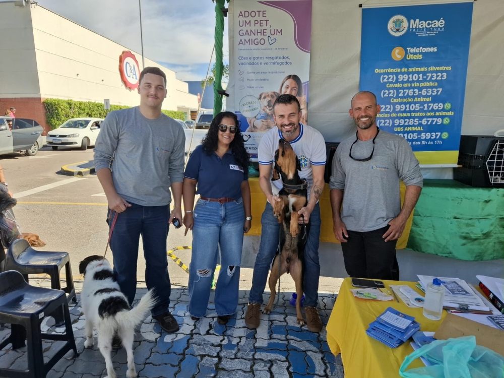 Ação une esforços para incentivar a adoção responsável de cães e gatos em Macaé 