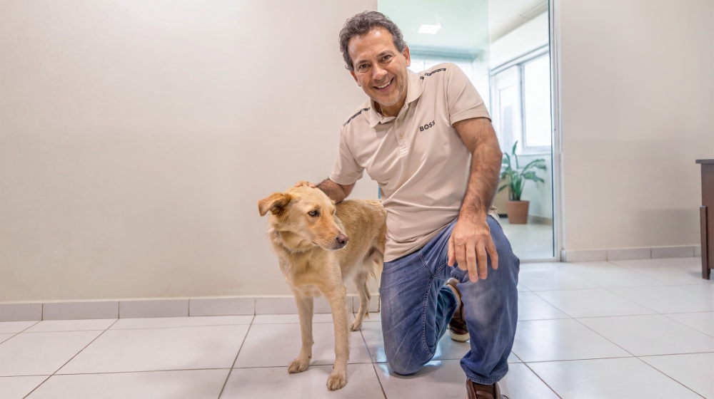 Ricardo Abrão apresenta projeto que garante proteção aos animais comunitários e segurança jurídica para cuidadores