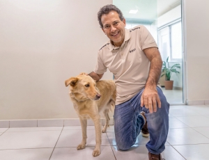 Ricardo Abrão apresenta projeto que garante proteção aos animais comunitários e segurança jurídica para cuidadores