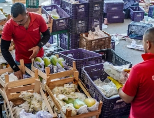 Governo anuncia crédito de R$ 97,3 bi para agricultores familiares