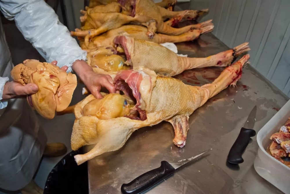 Proibição do foie gras segue retida na Câmara após quase dois meses da aprovação no Congresso