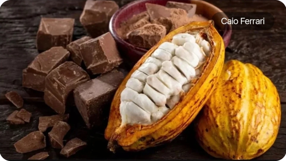 Agricultores familiares denunciam nova modalidade de chocolate artificial