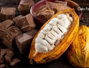 Agricultores familiares denunciam nova modalidade de chocolate artificial