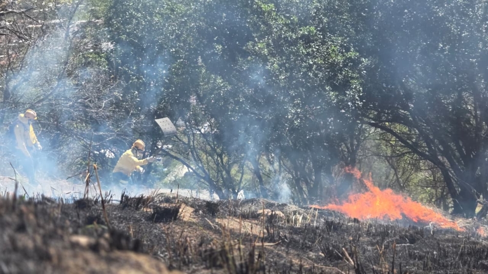 Brigada Florestal Voluntária realiza ações preventivas para evitar incêndios florestais em Nova Iguaçu