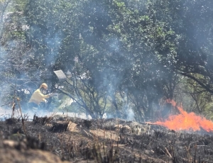 Brigada Florestal Voluntária realiza ações preventivas para evitar incêndios florestais em Nova Iguaçu