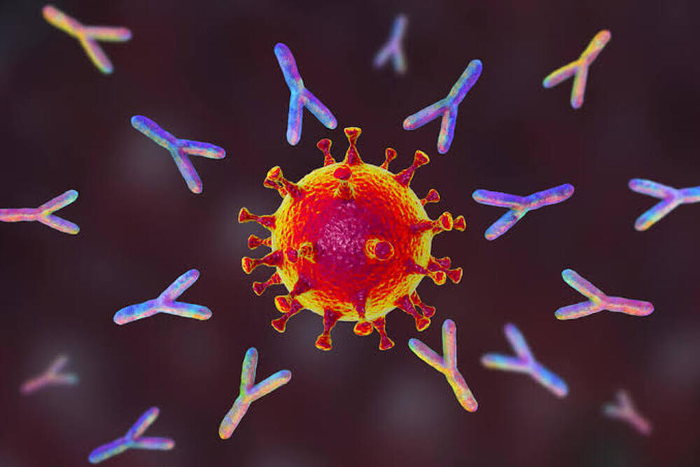 Exame de alta precisão para detectar anticorpos da Covid-19 possibilita melhor acompanhamento da resposta imune.